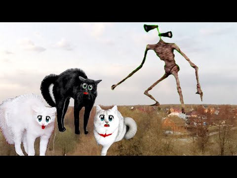 Видео: 24 часа в  ПЛЕНУ у  СИРЕНОГОЛОВОГО !!!