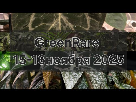 Видео: Выставка Greenrare 15-16 ноября 2025