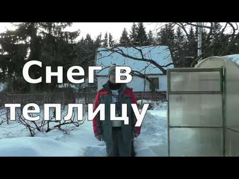Видео: Засыпать снег в теплицу. Оставить теплицу открытой на зиму. Зачем и нужно ли?