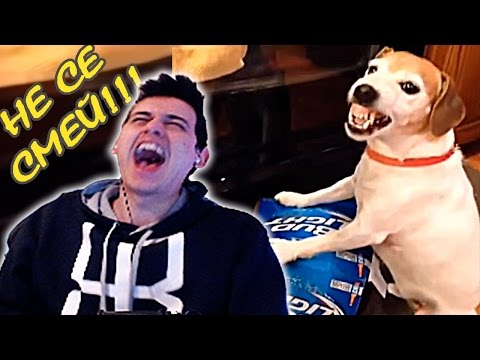 Видео: Try Not To Laugh Challenge - НЕ СЕ СМЕЙ #3
