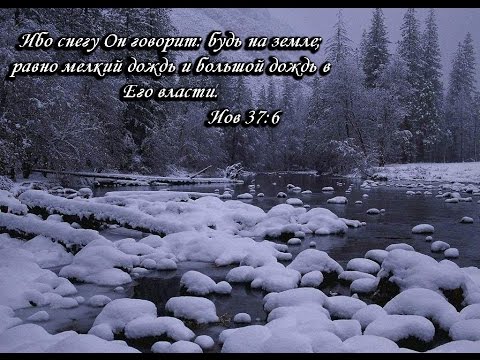 Видео: Алексей Коломийцев в Красноярске. 5 часть. Духовная зрелость.