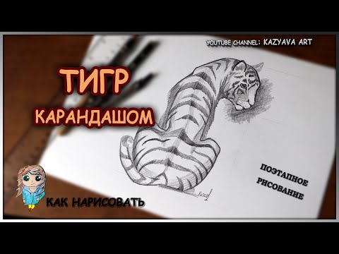 Видео: Как нарисовать ТИГРА в полный рост карандашом. Тигр сидит спиной.