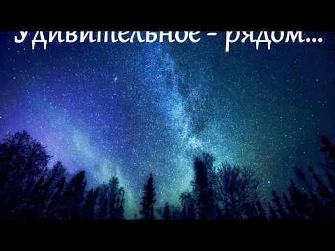 Видео: УДИВИТЕЛЬНОЕ - РЯДОМ!