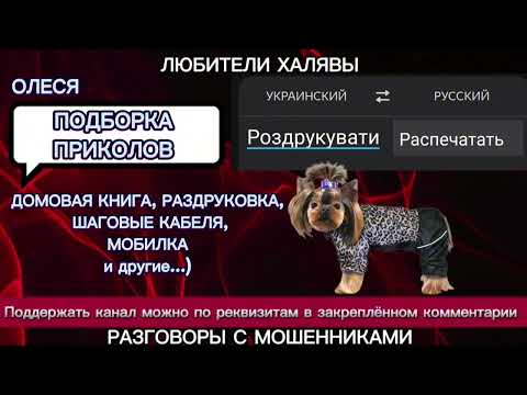 Видео: ОЛЕСЯ. ПОДБОРКА ПРИКОЛОВ | ТЕЛЕФОННЫЕ МОШЕННИКИ
