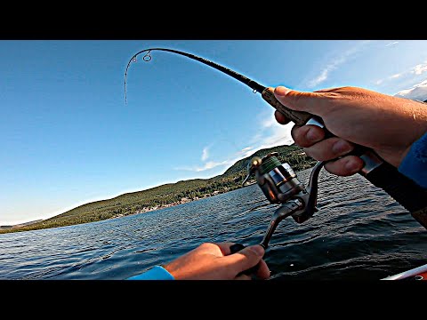Видео: ЛОВЛЯ ХАРИУСА В ГОРОДЕ КРАСНОЯРСК С ЛОДКИ
