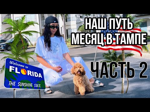 Видео: МЕСЯЦ СПУСТЯ, ТАМПА, ФЛОРИДА . НАШИ АПАРТАМЕНТЫ , ШКОЛА , КАК ВЕЗЛИ СОБАКУ