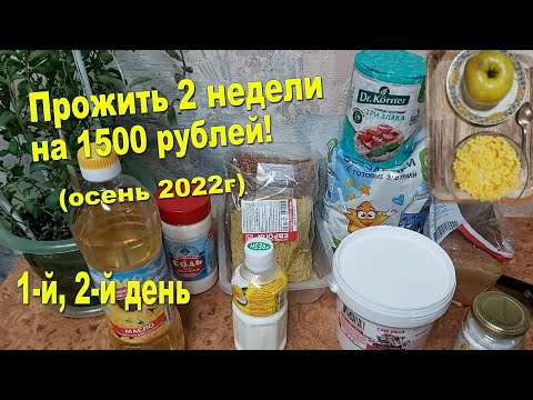 Видео: Прожить 2 недели на 1500 руб.! Осень 2022г! Примерный лимит 100 руб/день. Главное, яблок накупила)))