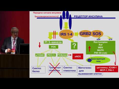 Видео: Аметов А.С., Пациент с сахарным диабетом 2 типа: нужны ли нам тиазолидиндионы?