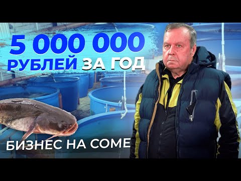 Видео: ЗОЛОТАЯ ЖИЛА. Сколько Денег ЗАРАБАТЫВАЕТ ФЕРМЕР? Разведение Сома на Рыбоводной ФЕРМЕ УЗВ