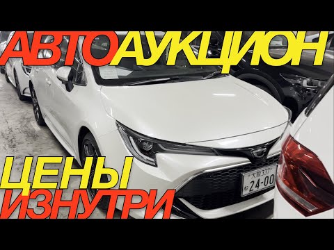 Видео: ЯПОНЦЫ ЖДУТ ОТМЕНЫ САНКЦИЙ  / TOYOTA YARIS RAIZE COROLLA SPORT TOURING WOLKSWAGEN TOURAN