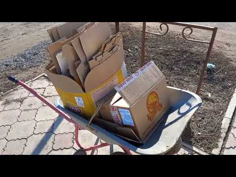Видео: Новая копилка картона , и другие дела