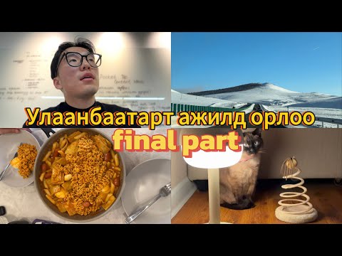 Видео: Шинэ жил шинэ ажил