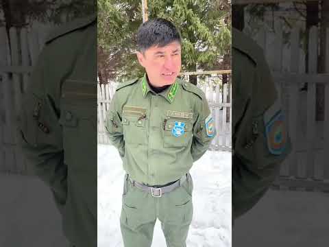 Видео: Областной форум «Открываем мир профессий» конкурс видеосюжетов