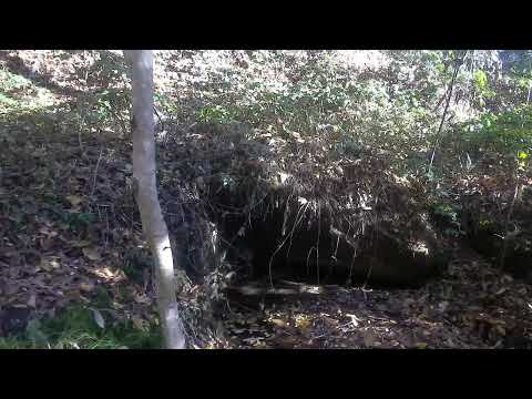 Видео: За тези съградили и вложили душата си в градежа . Чешмите на Стара планина . Село Трънето - Габрово