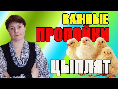 Видео: ВАЖНЫЕ ПРОПОЙКИ цыплят с первых дней жизни.