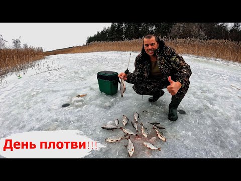 Видео: День плотви. Рибалка новий сезон