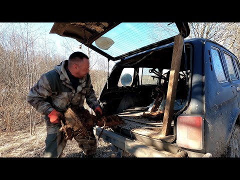 Видео: ПОКА ТОЙОТА на капиталке ЗАРАБАТЫВАЮ на МЕТАЛЛОКОПЕ на НИВЕ/ Первый ВЕСЕННИЙ ВЫЕЗД за металлом!