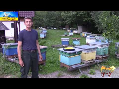 Видео: Поширена помилка, яка коштує вкрай дорого.