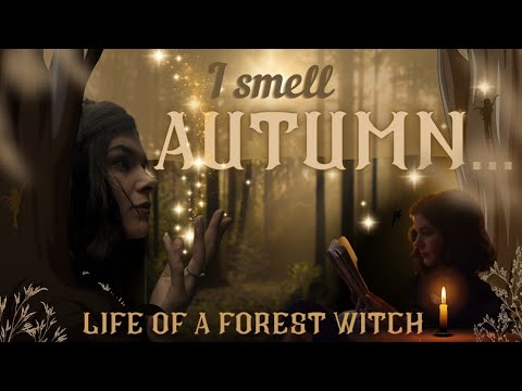 Видео: «Я чувствую запах осени» 🍂 Жизнь лесной ведьмы 🤎 Кухонное колдовство | Прогулка под предводительс...