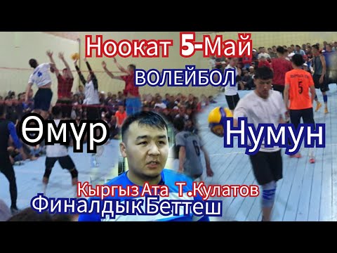 Видео: Ноокат 5-МАЙ  Волейбол  Кулатов  Кыргыз  Ата  Финалдык  Беттеш