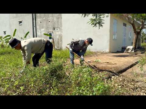 Видео: Уборка заросших тротуаров вызывает удивление