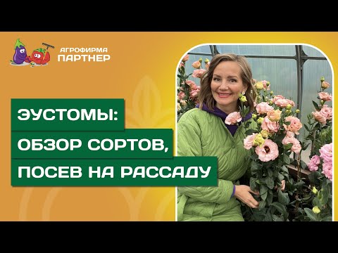 Видео: ЭУСТОМЫ, В КОТОРЫЕ НЕВОЗМОЖНО НЕ ВЛЮБИТЬСЯ // Коллекция 2025