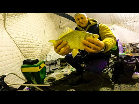 Видео: АКТИВНЫЙ КЛЁВ КАРАСЯ по ПЕРВОМУ ЛЬДУ...Зимняя рыбалка.2024- 2025 г .