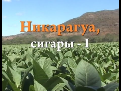 Видео: Никарагуа, сигары. Часть 1