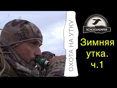 Видео: Охота на утку с манками. Зимняя утка. Часть 1