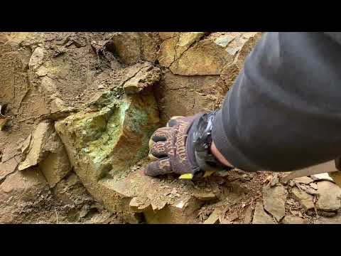 Видео: Търсене на коренно самородно злато в контактно променени скали