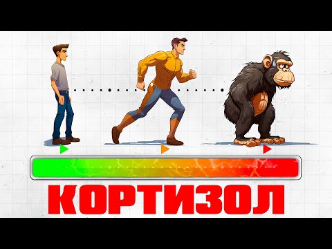 Видео: Как стресс делает нас сильнее и разрушает личность