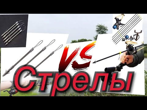 Видео: Рыбалка на стрелы.Slingshot fishing.Стрела V/S Дротик