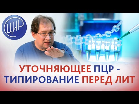 Видео: HLA-типирование. Показания для точного ПЦР типирования DQB1 при неясности результата HLA-типирования