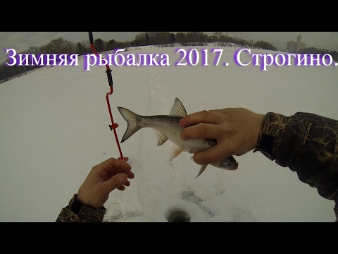 Видео: Зимняя рыбалка 2017.  Строгино