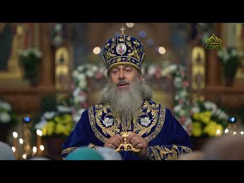 Видео: О пользе одиночества. Проповедь митрополита Святогорского Арсения