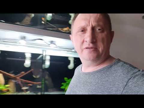 Видео: Прошло 5 недель, засол от 04.06.2025г.