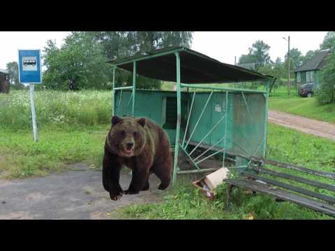 Видео: Новгородская область.Вымирающая деревня.зарисовка