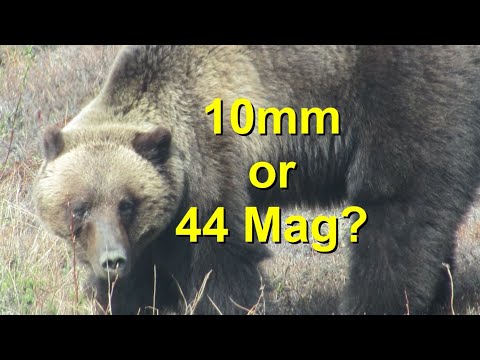 Видео: 10 мм против 44-мм патронов для защиты от медведей. Что действительно важно