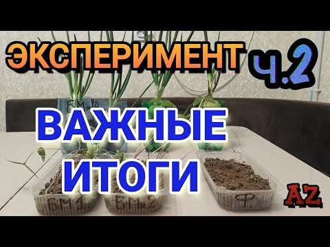 Видео: Эксперимент ч.2 ФИНАЛ, ВАЖНЫЕ ИТОГИ