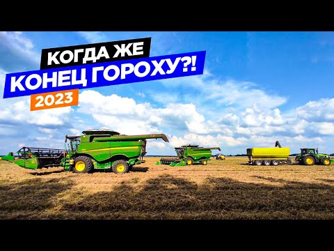 Видео: ЕТО комбайнов John Deere в поле. С трудом доубирали очередное поле с горохом. Отчего потери урожая?