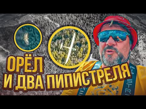 Видео: Два Пипистреля, Орел и драный поток