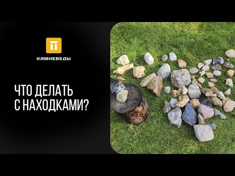 Видео: Что делать с находками?