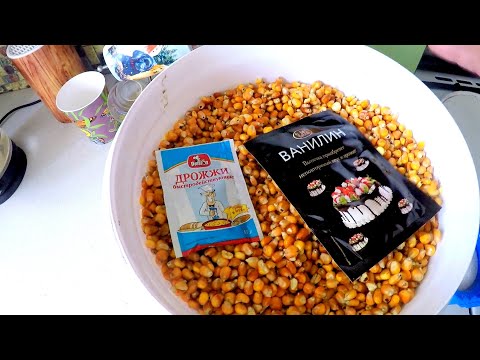 Видео: ЛУЧШАЯ ПРИКОРМКА на САЗАНА. Насадка на САЗАНА, ЛЕЩА.