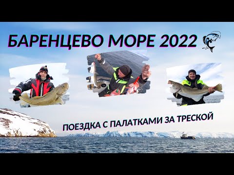 Видео: На Баренцево за треской с палатками | АПРЕЛЬ 2022