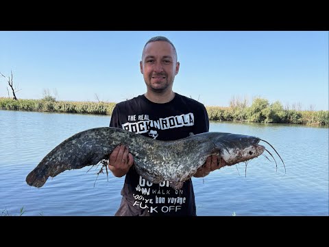 Видео: Рыбалка на р. Турунчук. Поймали трофейного сома на секретную снасть. Часть 2