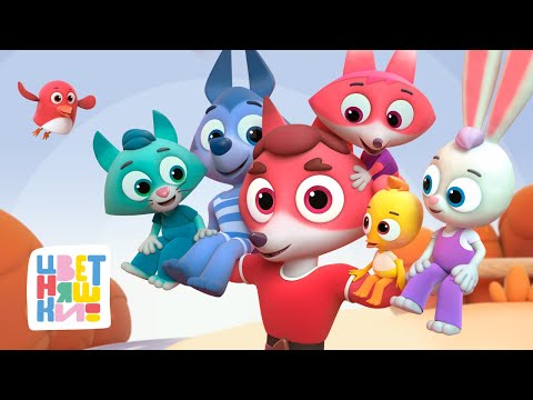 Видео: Цветняшки — Мультики папам — Сборник мультиков про папу — 5 мультиков для папы