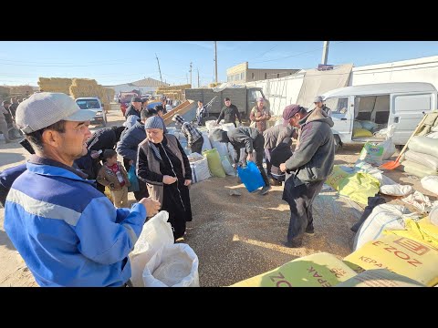 Видео: ЯНГИ БУГДОЙ НАРХЛАРИ ЯНА УЗГАРДИ! ТУРТКУЛЬ ЕМ-ХАШАК НАРХЛАРИ 2025 19 октября 2025 г.