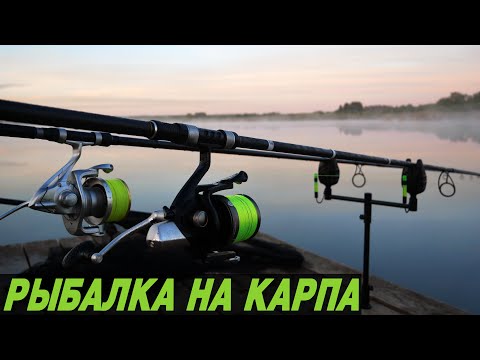 Видео: КОРОТКАЯ СЕМЕЙНАЯ РЫБАЛКА НА КАРПА. Бешеный КЛЕВ и куча СХОДОВ!