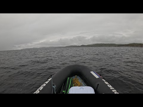 Видео: 27 июня 2025 . ПЕРВЫЙ ВЫХОД ЗА ГОРБУШЕЙ / FIRST OUTING FOR PINK SALMON