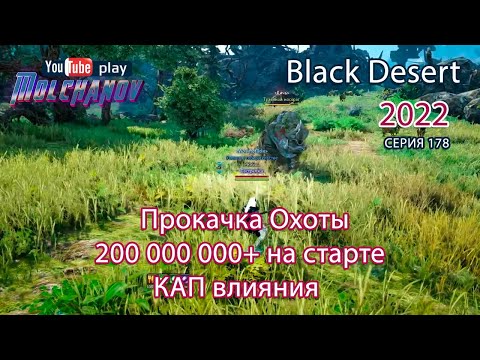 Видео: Прокачка Охоты для новичков. Фарм серебра Black Desert 2022. Лучница.